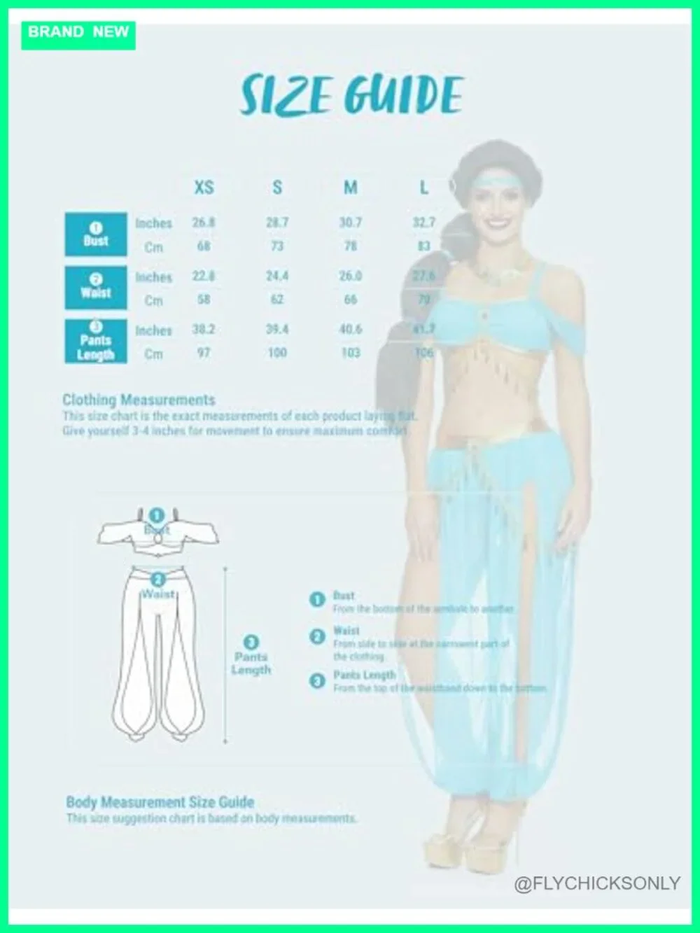 Arabian Princess Women's Halloween Costume 4pc Set with Headband Necklace